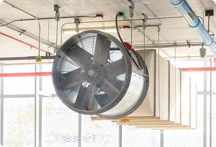 Machine