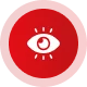 Vision